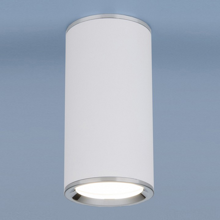 Накладной светильник Elektrostandard DLN101 a043967