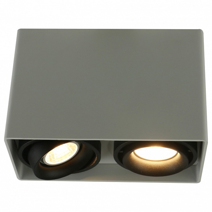 Накладной светильник Arte Lamp 5655 A5655PL-2WH