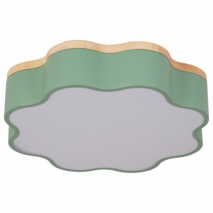 Накладной светильник Escada 10208 10208/1LED (Green)