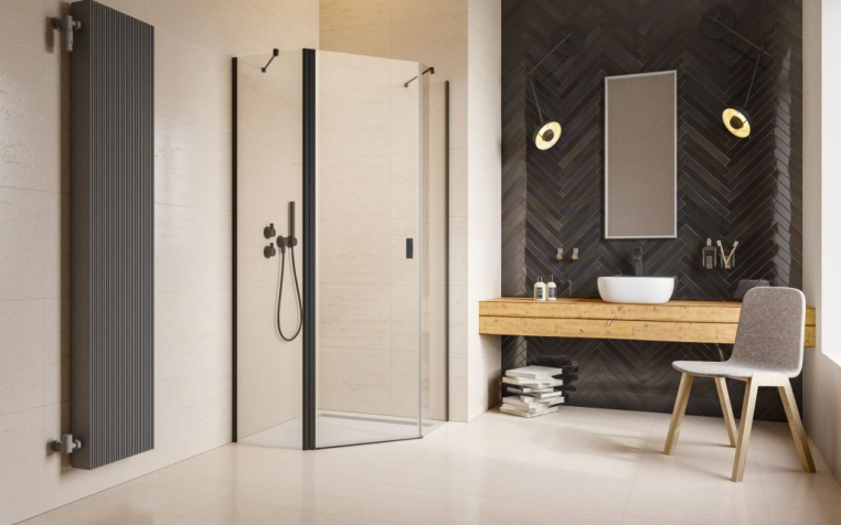 Душевая дверь Radaway NES 10052000-54-01L