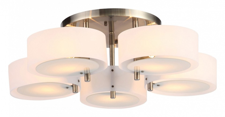 Потолочная люстра EVOLUCE Foresta SL483.352.05