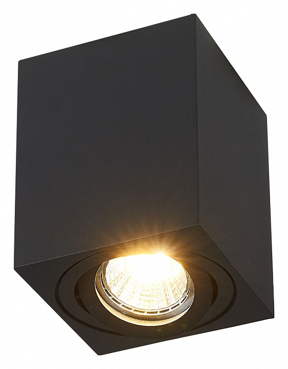 Накладной светильник SIMPLE STORY 2038 2038-1CLB