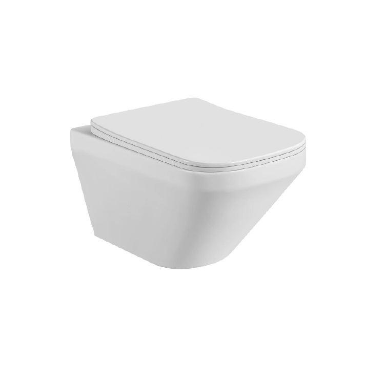 Подвесной унитаз Aquatek Лира с микролифтом, безободковый AQ1155-00