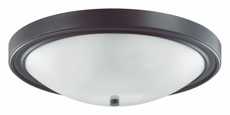 Накладной светильник Lumion Nina 5260/4C