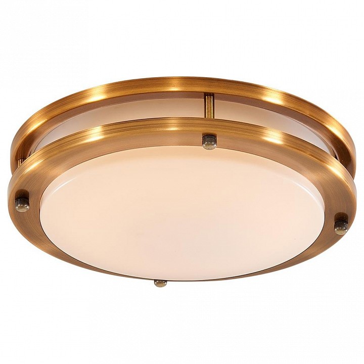 Накладной светильник Citilux Бостон CL709153