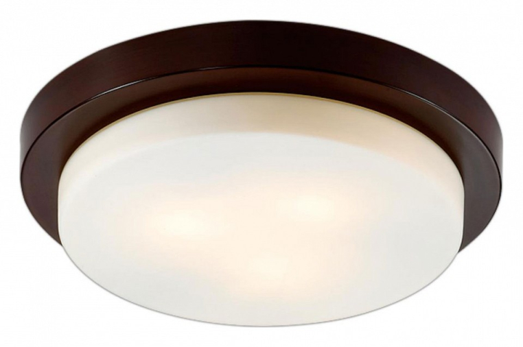 Накладной светильник Odeon Light Holger 2744/3C