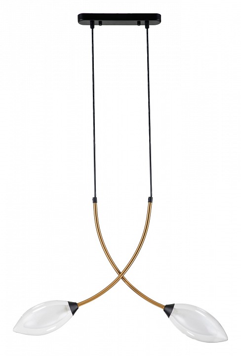 Подвесной светильник Indigo Fiore 13001/2P Black