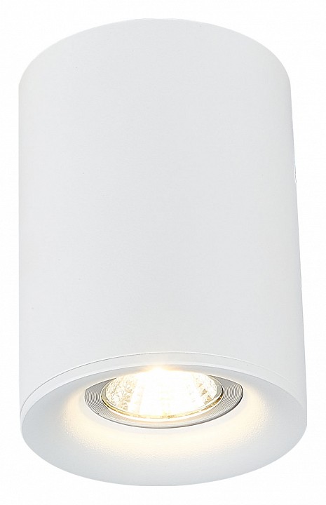 Накладной светильник SIMPLE STORY 2036 2036-1CLW
