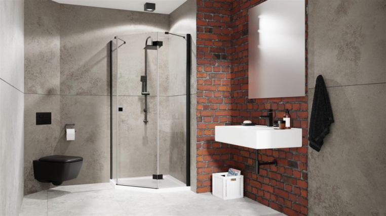 Душевая дверь Radaway Essenza New 385010-54-01R