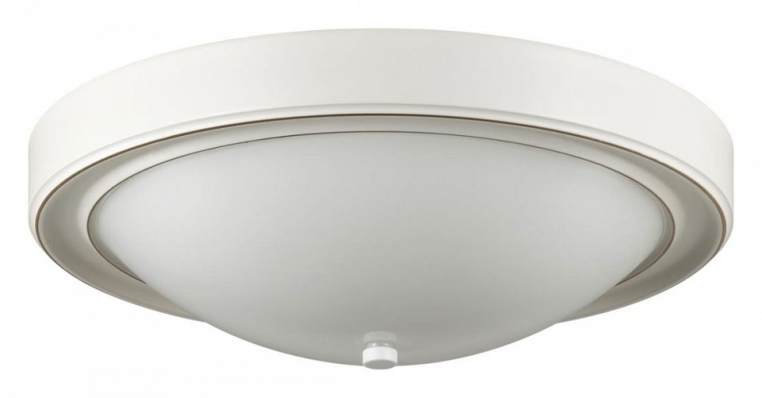 Накладной светильник Lumion Nina 5279/3C