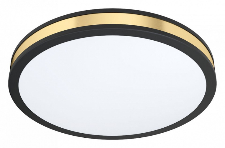 Накладной светильник Eglo ПРОМО Pescaito 99407