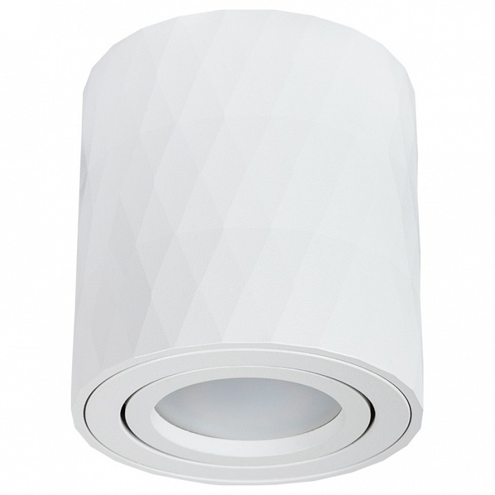 Накладной светильник Arte Lamp Fang 2 A5559PL-1WH