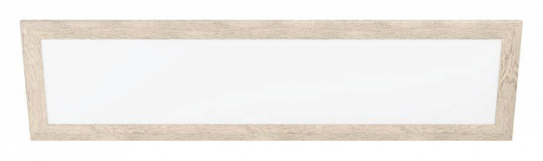 Накладной светильник Eglo ПРОМО Piglionasso 99437