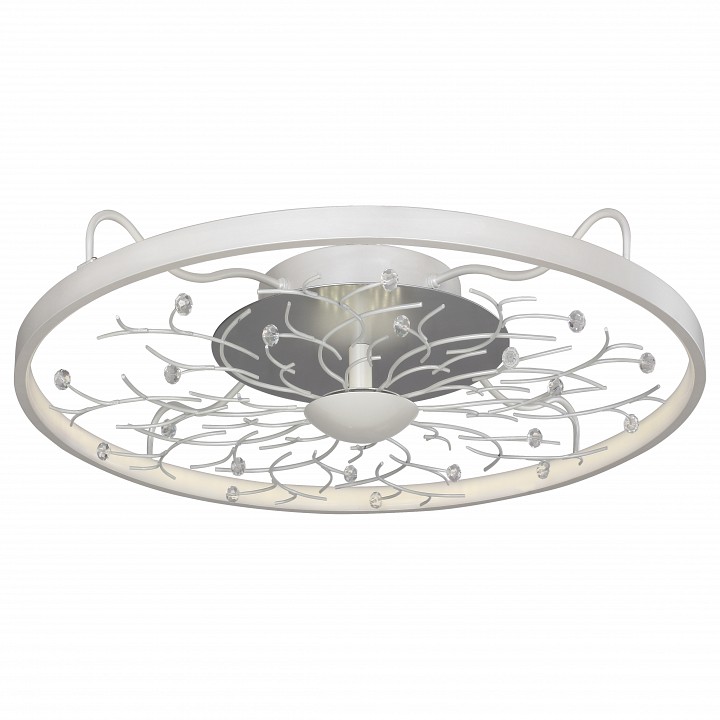 Накладной светильник Favourite Waltz 2533-6C