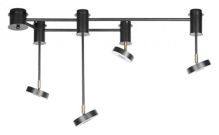 Потолочная люстра Loft it Flock 10189/1000