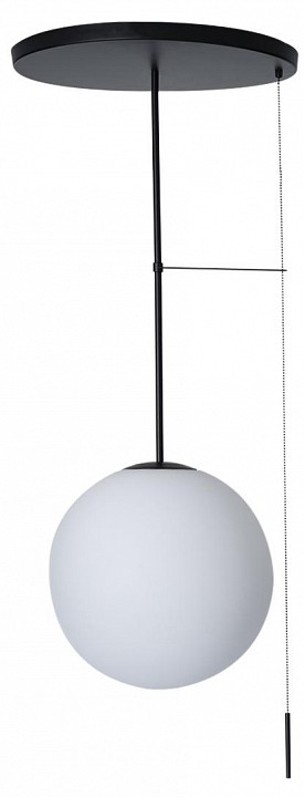 Светильник на штанге Loft it Signal 10029PM Black