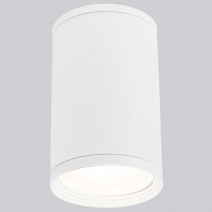 Накладной светильник Elektrostandard Light 35128/H