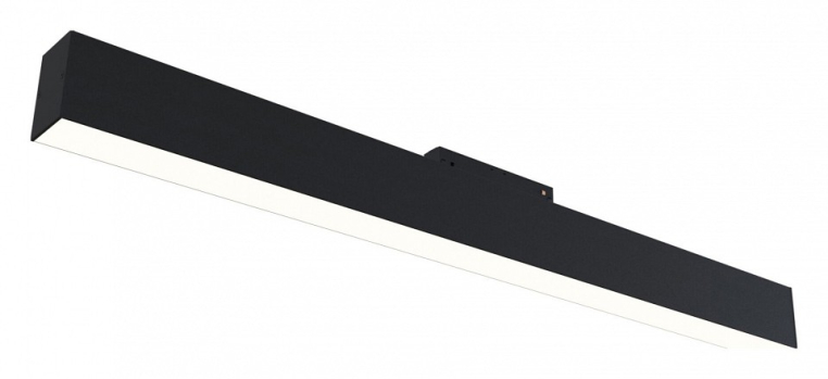 Накладной светильник Maytoni BASIS TR012-2-20W4K-B