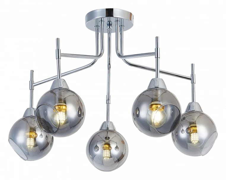 Потолочная люстра SIMPLE STORY 1005 1005-5CL