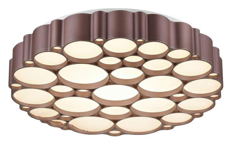 Накладной светильник Vele Luce Bible VL7156L01