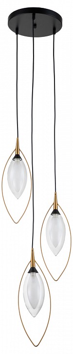 Подвесной светильник Indigo Fiore 13001/3P Black