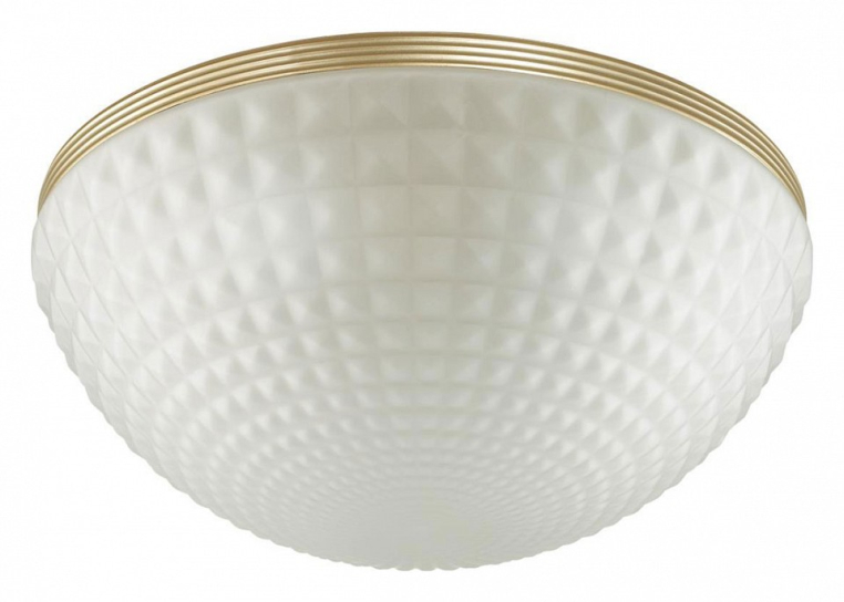 Накладной светильник Odeon Light Malaga 4936/4C