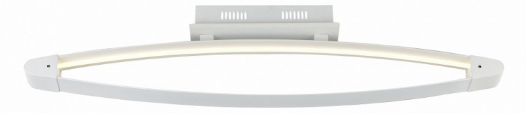 Накладной светильник ST-Luce SL920 SL920.102.01