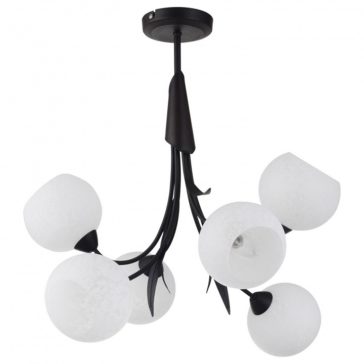 Люстра на штанге Lussole Bagheria LSF-6293-06