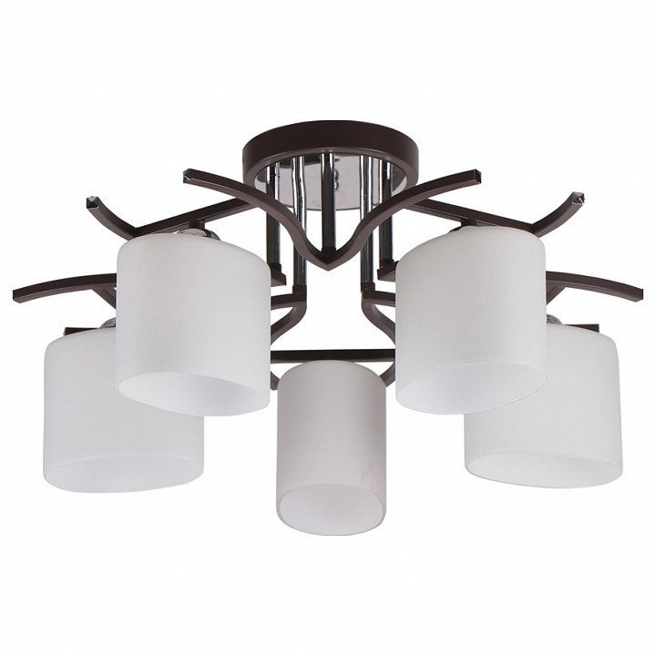 Потолочная люстра Imex 2441 MD.2441-5-S BR+CH