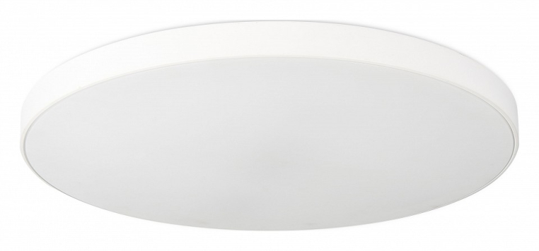 Накладной светильник SIMPLE STORY 1204 1204-LED48CL