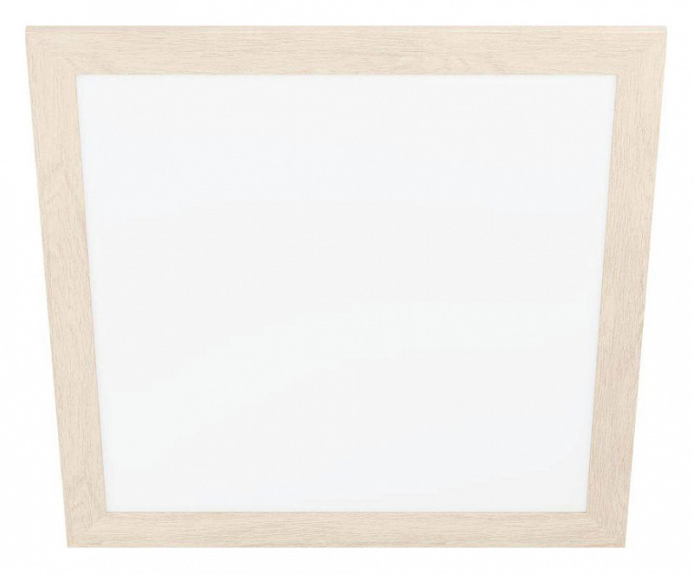 Накладной светильник Eglo ПРОМО Piglionasso 99472