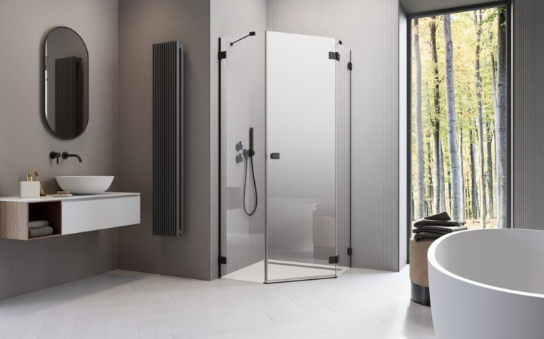 Душевая дверь Radaway Essenza Pro 10100000-54-01R