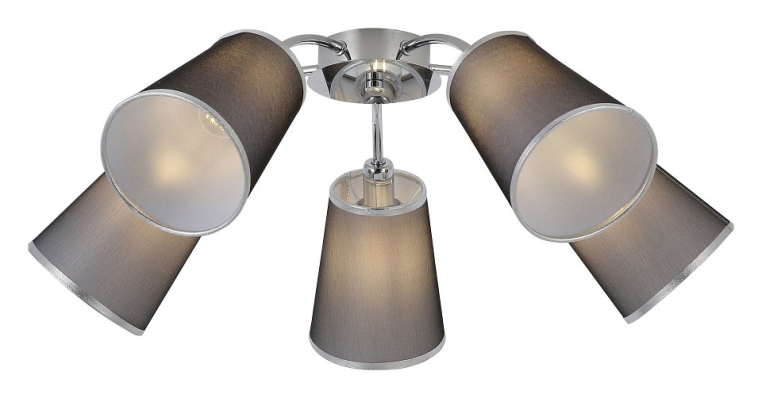 Потолочная люстра EVOLUCE Maleonte SLE103002-05