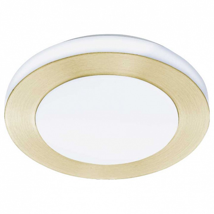 Накладной светильник Eglo Led Carpi 900369