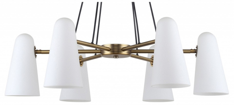 Подвесная люстра Favourite Vision 2763-6P