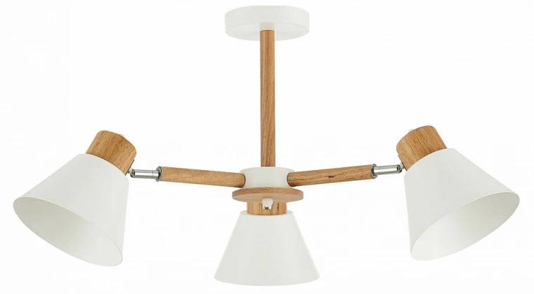 Люстра на штанге EVOLUCE Buve SLE103702-03