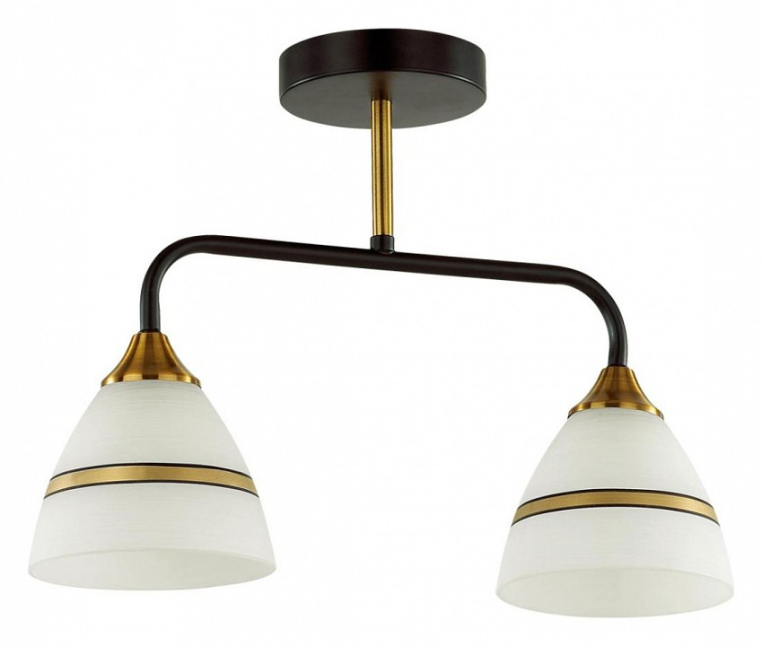 Светильник на штанге Lumion Comfi 5214/2CA