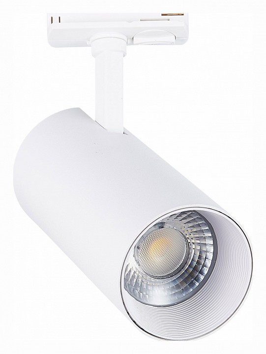 Светильник на штанге ST-Luce Mono ST350.546.30.24