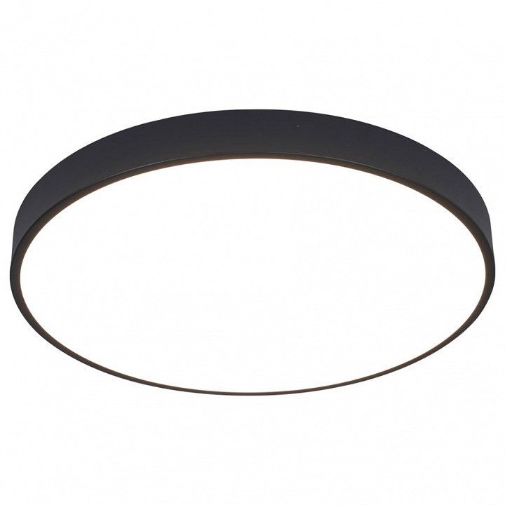 Накладной светильник Arte Lamp Arena A2686PL-35BK