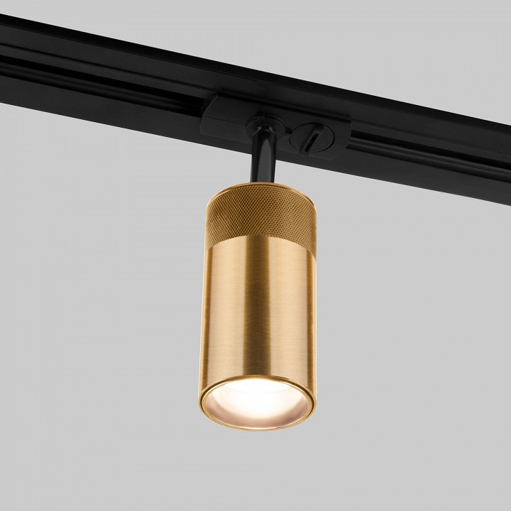 Светильник на штанге Elektrostandard Riffe 85512/01