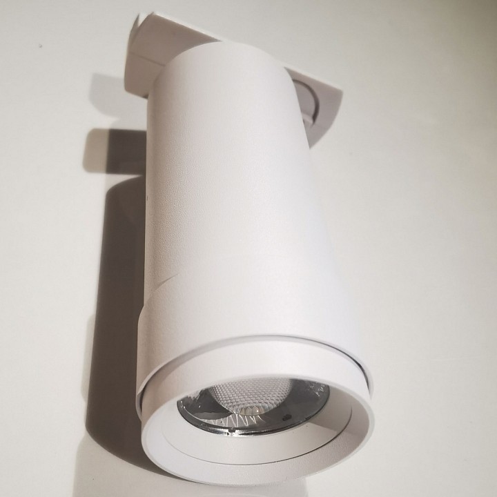 Светильник на штанге Maytoni Focus Zoom TR021-1-12B3K-Z-D-W