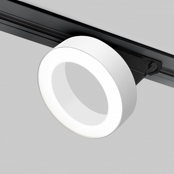 Накладной светильник Elektrostandard Spila 85079/01