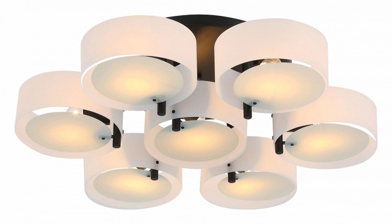 Потолочная люстра EVOLUCE Foresta SL483.402.07