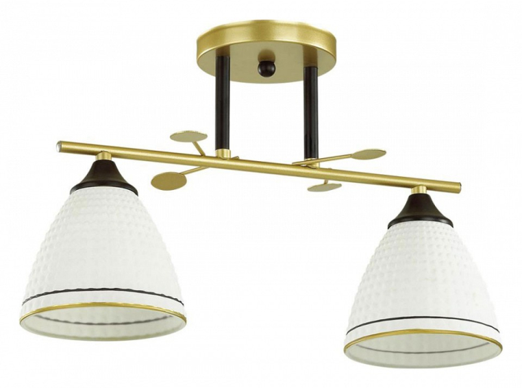 Накладной светильник Lumion Becky 4544/2C