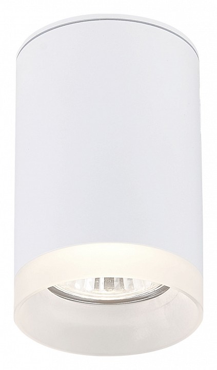 Накладной светильник SIMPLE STORY 2039 2039-1CLW